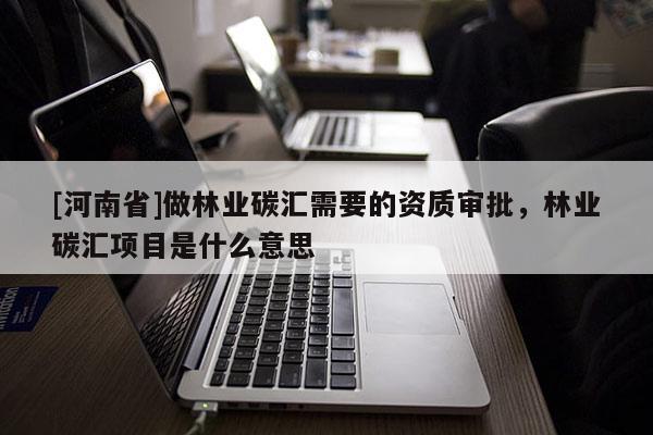 [河南省]做林業(yè)碳匯需要的資質(zhì)審批，林業(yè)碳匯項(xiàng)目是什么意思