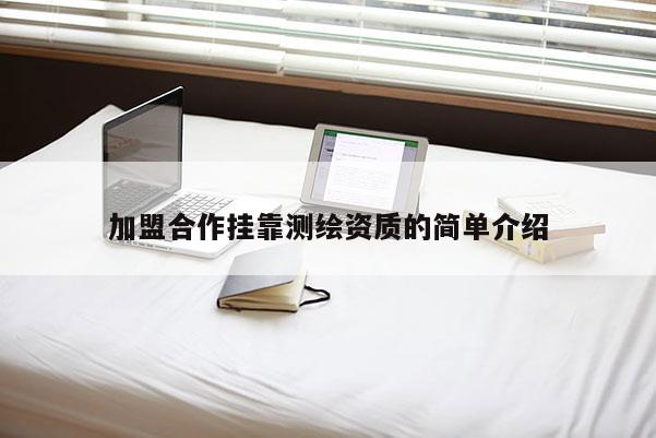 加盟合作掛靠測(cè)繪資質(zhì)的簡(jiǎn)單介紹