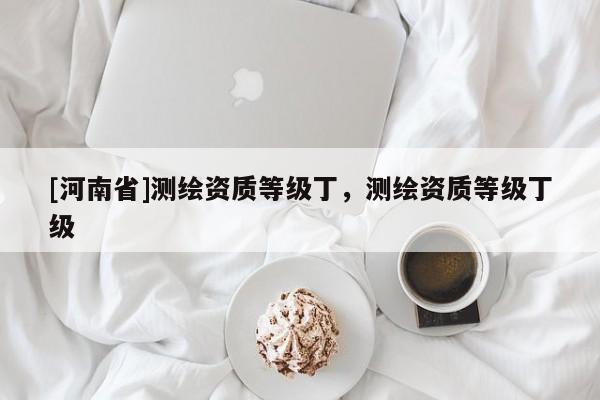 [河南省]測(cè)繪資質(zhì)等級(jí)丁，測(cè)繪資質(zhì)等級(jí)丁級(jí)