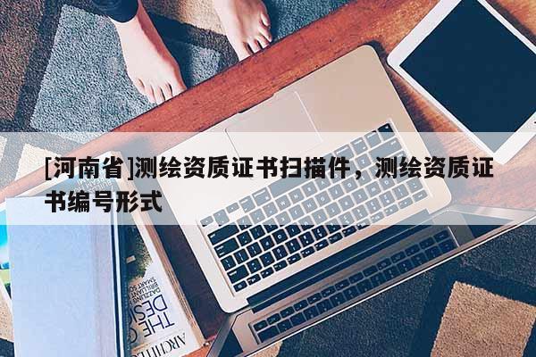 [河南省]測(cè)繪資質(zhì)證書掃描件，測(cè)繪資質(zhì)證書編號(hào)形式
